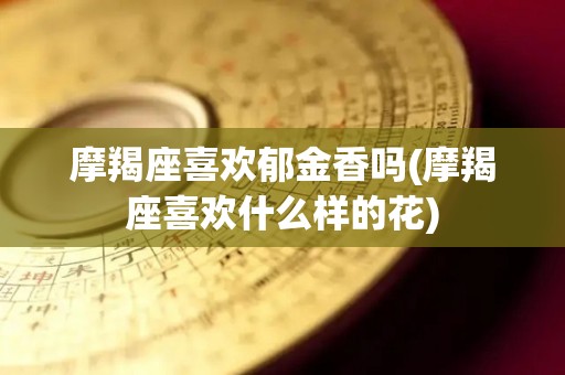摩羯座喜欢郁金香吗(摩羯座喜欢什么样的花)