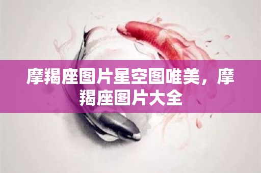 摩羯座图片星空图唯美，摩羯座图片大全