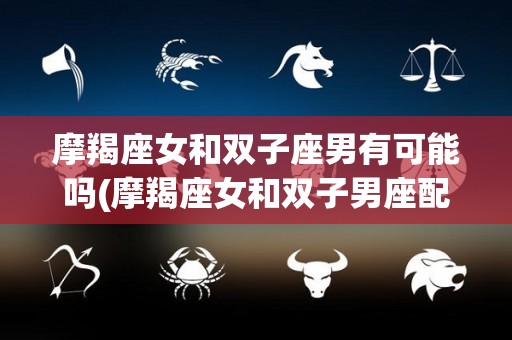 摩羯座女和双子座男有可能吗(摩羯座女和双子男座配吗)