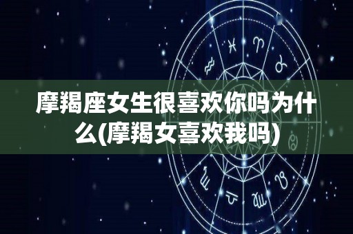摩羯座女生很喜欢你吗为什么(摩羯女喜欢我吗)