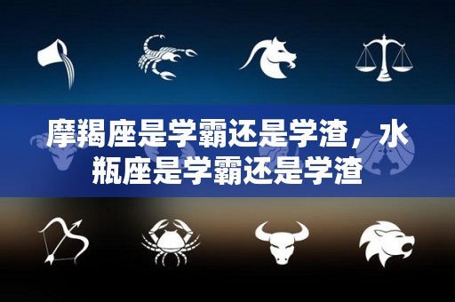 摩羯座是学霸还是学渣，水瓶座是学霸还是学渣