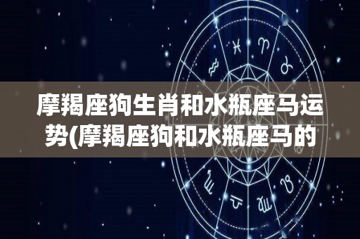 摩羯座狗生肖和水瓶座马运势(摩羯座狗和水瓶座马的2022运势预测)