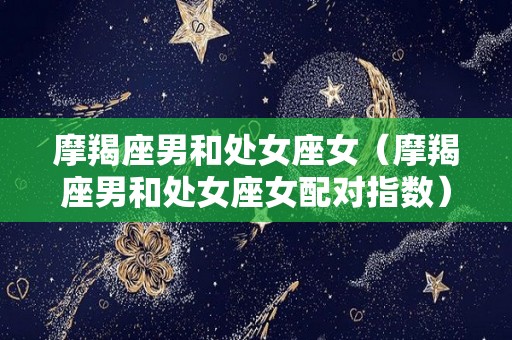 摩羯座男和处女座女（摩羯座男和处女座女配对指数）