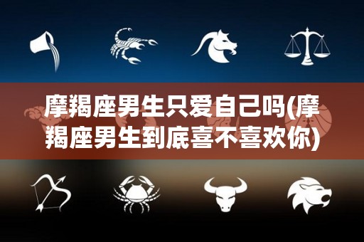 摩羯座男生只爱自己吗(摩羯座男生到底喜不喜欢你)