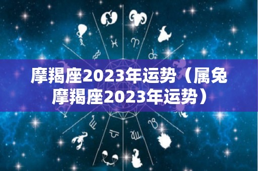 摩羯座2023年运势（属兔摩羯座2023年运势）