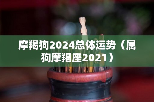 摩羯狗2024总体运势（属狗摩羯座2021）