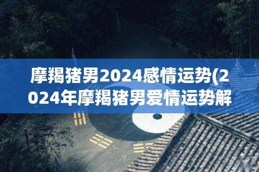 摩羯猪男2024感情运势(2024年摩羯猪男爱情运势解读)