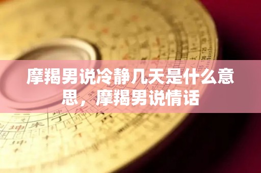 摩羯男说冷静几天是什么意思，摩羯男说情话