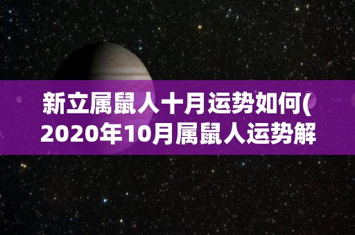 新立属鼠人十月运势如何(2020年10月属鼠人运势解析)