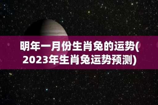 明年一月份生肖兔的运势(2023年生肖兔运势预测)