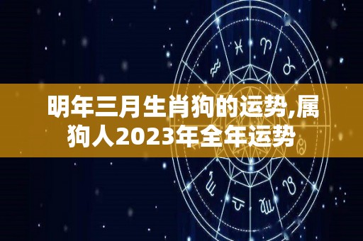 明年三月生肖狗的运势,属狗人2023年全年运势