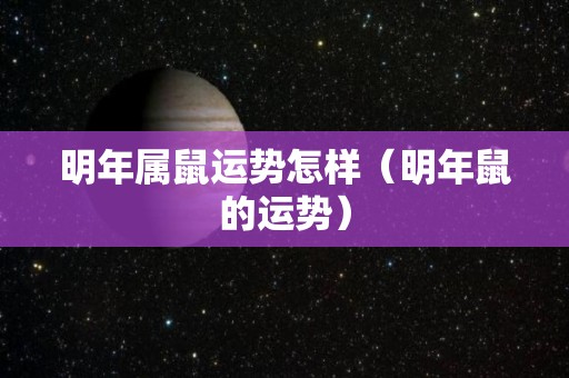明年属鼠运势怎样（明年鼠的运势）