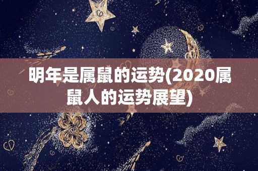 明年是属鼠的运势(2020属鼠人的运势展望)