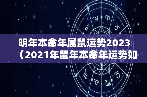 明年本命年属鼠运势2023（2021年鼠年本命年运势如何）