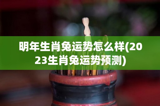 明年生肖兔运势怎么样(2023生肖兔运势预测)