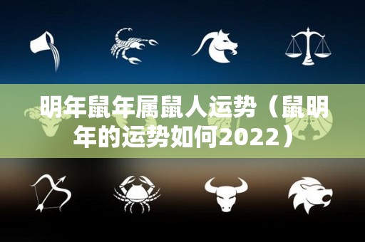 明年鼠年属鼠人运势（鼠明年的运势如何2022）