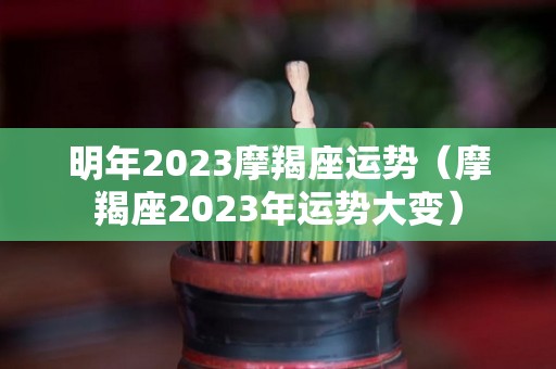 明年2023摩羯座运势（摩羯座2023年运势大变）