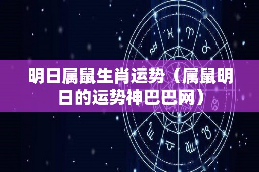 明日属鼠生肖运势（属鼠明日的运势神巴巴网）