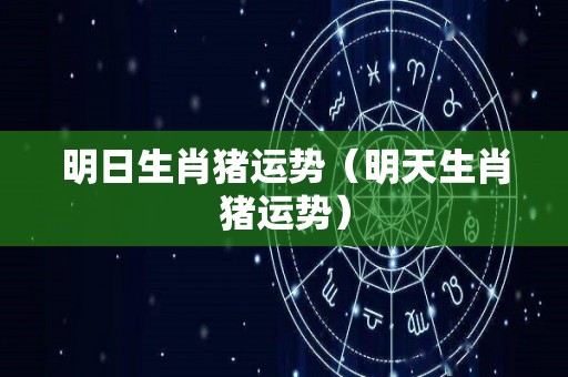 明日生肖猪运势（明天生肖猪运势）