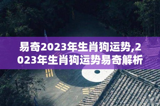 易奇2023年生肖狗运势,2023年生肖狗运势易奇解析