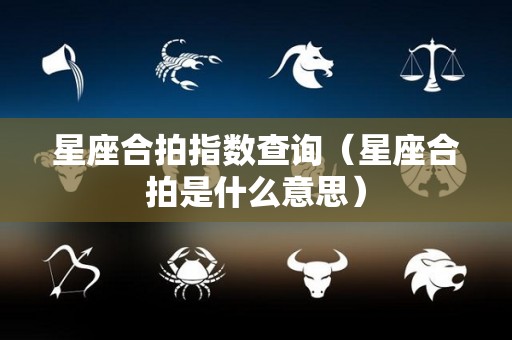 星座合拍指数查询（星座合拍是什么意思）