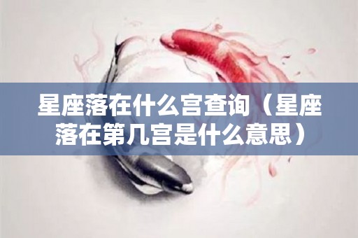 星座落在什么宫查询（星座落在第几宫是什么意思）