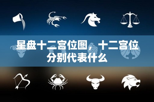 星盘十二宫位图，十二宫位分别代表什么