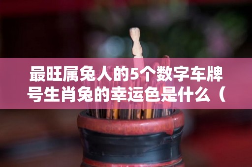 最旺属兔人的5个数字车牌号生肖兔的幸运色是什么（属兔车牌吉祥数字）