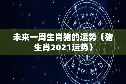 未来一周生肖猪的运势（猪生肖2021运势）