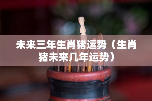 未来三年生肖猪运势（生肖猪未来几年运势）