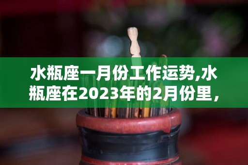 水瓶座一月份工作运势,水瓶座在2023年的2月份里，可能会有着一些小麻烦存在
