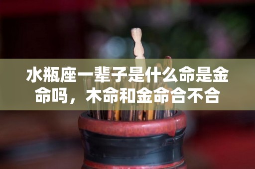 水瓶座一辈子是什么命是金命吗，木命和金命合不合