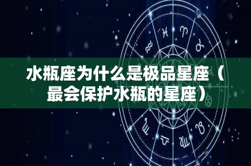 水瓶座为什么是极品星座（最会保护水瓶的星座）