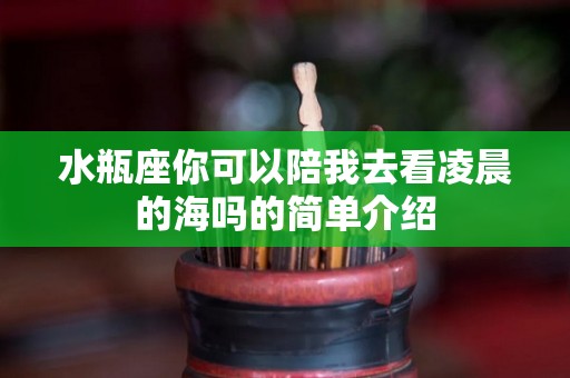 水瓶座你可以陪我去看凌晨的海吗的简单介绍