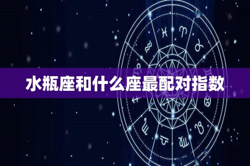 水瓶座和什么座最配对指数