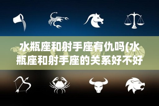 水瓶座和射手座有仇吗(水瓶座和射手座的关系好不好)