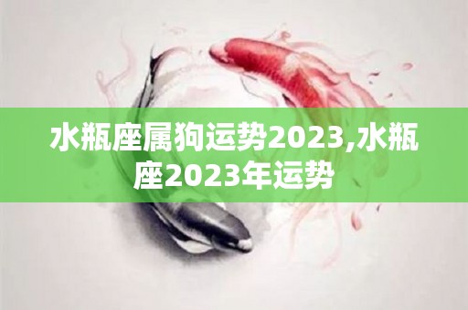 水瓶座属狗运势2023,水瓶座2023年运势