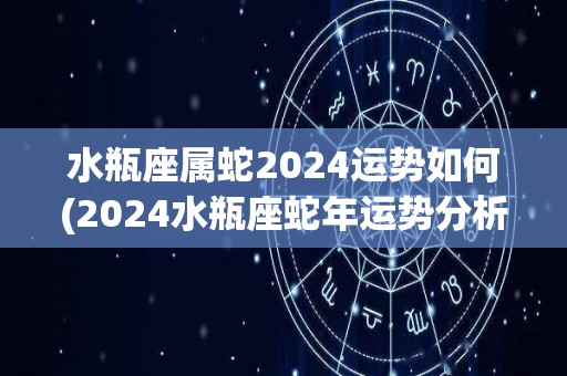 水瓶座属蛇2024运势如何(2024水瓶座蛇年运势分析)