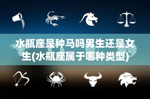 水瓶座是种马吗男生还是女生(水瓶座属于哪种类型)
