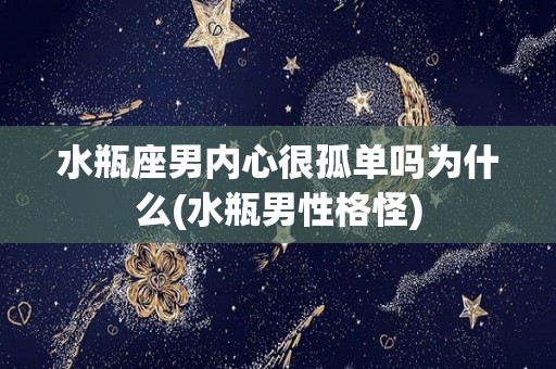 水瓶座男内心很孤单吗为什么(水瓶男性格怪)