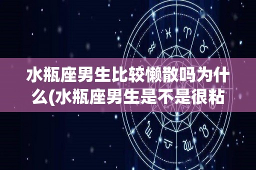 水瓶座男生比较懒散吗为什么(水瓶座男生是不是很粘人)