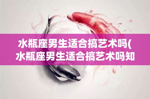 水瓶座男生适合搞艺术吗(水瓶座男生适合搞艺术吗知乎)