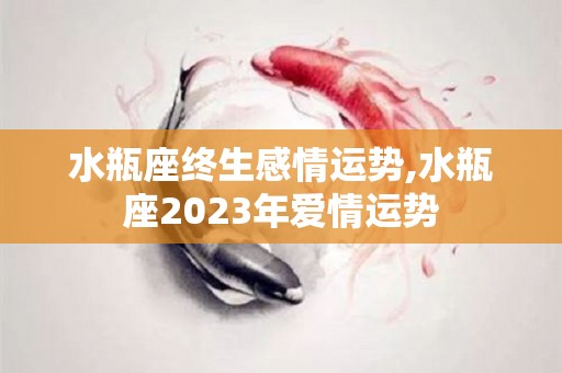 水瓶座终生感情运势,水瓶座2023年爱情运势