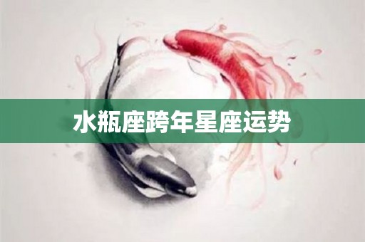 水瓶座跨年星座运势