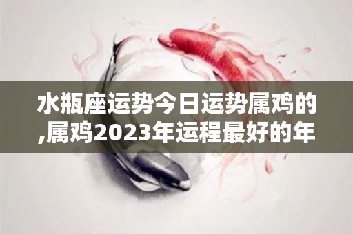 水瓶座运势今日运势属鸡的,属鸡2023年运程最好的年份