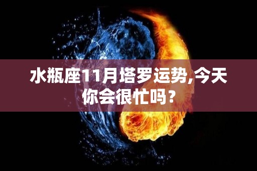 水瓶座11月塔罗运势,今天你会很忙吗？