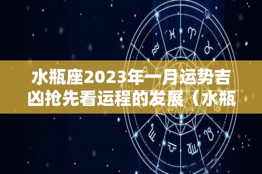 水瓶座2023年一月运势吉凶抢先看运程的发展（水瓶座2023年每月运势）