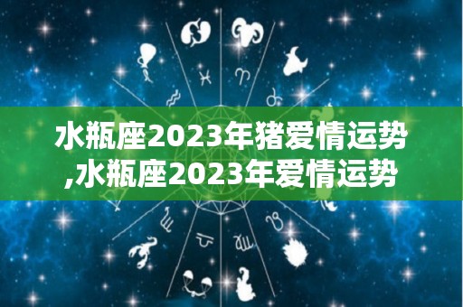 水瓶座2023年猪爱情运势,水瓶座2023年爱情运势