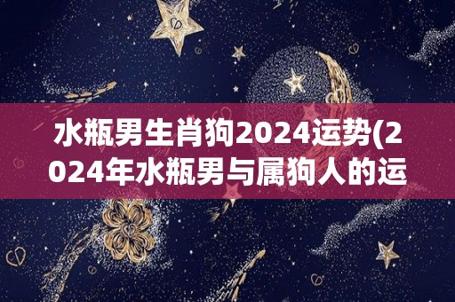 水瓶男生肖狗2024运势(2024年水瓶男与属狗人的运势预测)