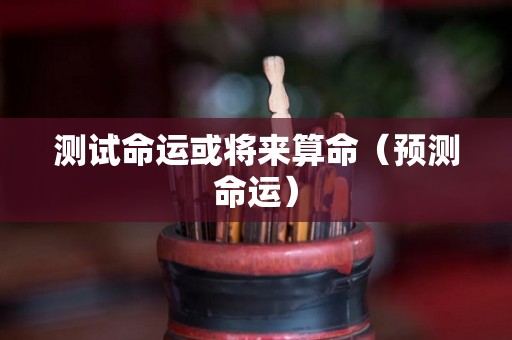 测试命运或将来算命（预测命运）